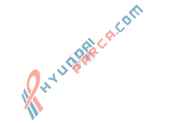 BALANS YATAĞI H100 TAKIM KORE 21252-42900-YS