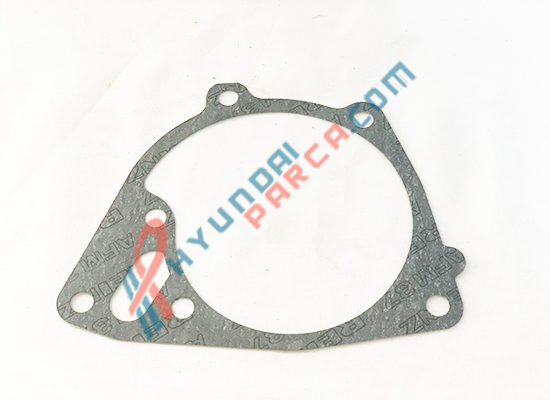 DEVİRDAİM CONTASI H100/STAREX 25124-42060-HMC