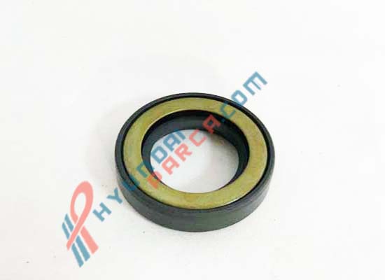 ARKA AKS KEÇESİ İÇ STAREX HMC 52810-4A000-HMC
