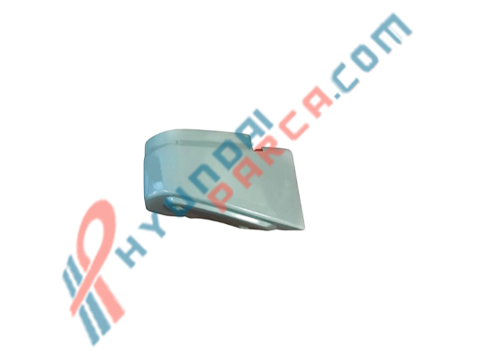 BAGAJ MENTEŞE KAPAĞI SAĞ H100 72965-43001-HMC