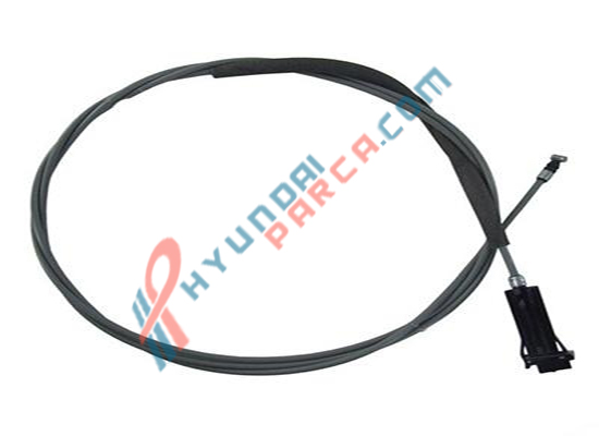 DEPO AÇMA TELİ BLUE 81590-1R000-HMC