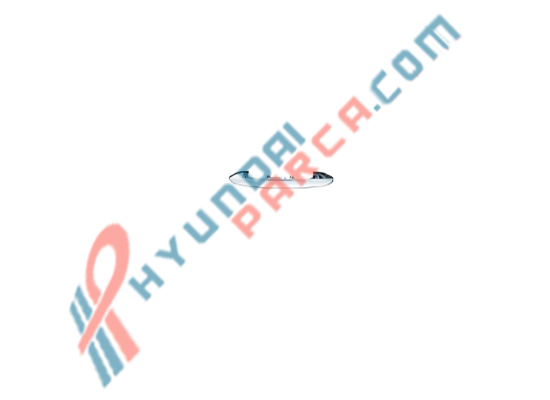 STAREX BAGAJ KAPAK PLAKA BAKALİTİ 04- 87310-4A700-YS