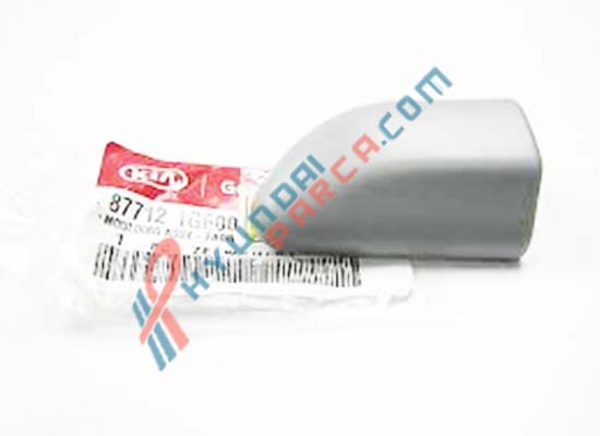 ÇAMURLUK ÇITASI ÖN SAĞ RİO 2010-11 87712-1G600-HMC