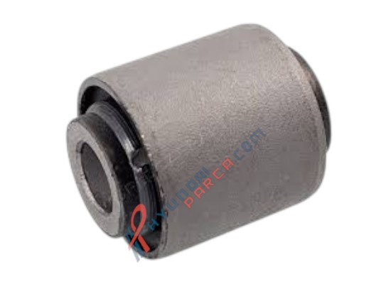 ARKA AMORTİSÖR ALT BURCU 55215-A2000-HMC