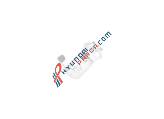 YAKIT POMPASI ŞAMANDIRALI ACCENT 00-  5 FİŞ 31110-25600-YS